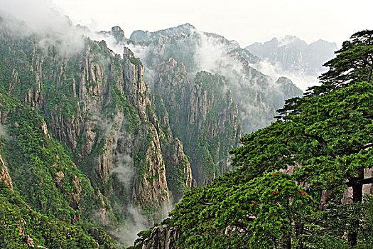 听华水批发价格C1B8D97C5-18975